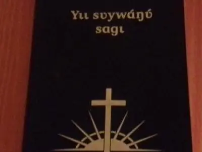 Nuni NT Cover page (Image primaire).jpg